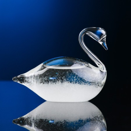 Barometer - Stormglass "Swan" 8x4cm-1