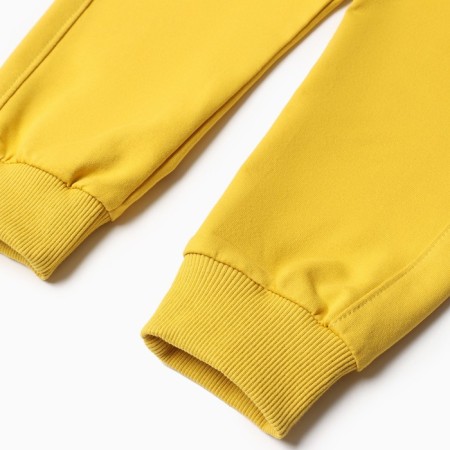 Children's costume "Ray", color mustard, height 92 cm-4