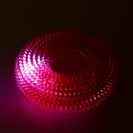 The toy luminous for dogs "Chewing ring", TPR, 12 cm, pink-4