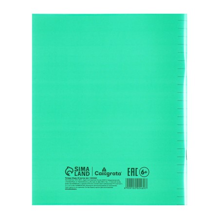 Notebook of 48 sheets in the calligrata "green" line, plastic cover, with alphabet, an offset unit-5