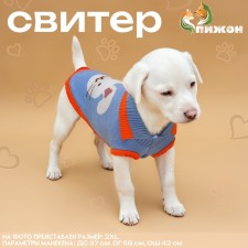 Свитер "Зайка", L (ДС 29, ОШ 29, ОГ 29-49 см)