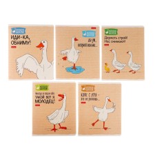 Notebook of 48 sheets in the cage 