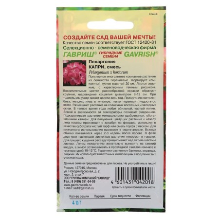 Seeds of indoor flowers Pelargonium "Capri", F2, 4 pcs.-1