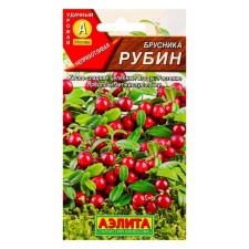 Brusnik seeds 