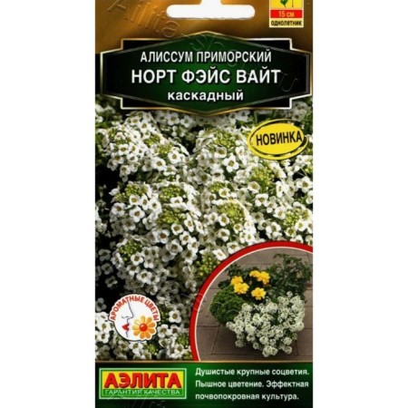 Alissum Seeds "North Face Wight Cascaded"