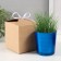 Set for growing plants "grow grass" blue