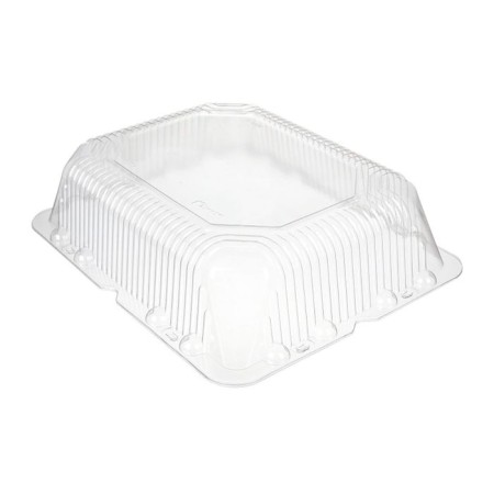 Cover to the T-480K container (t), rectangular, transparent color, size 48.5 x 38.7 x 12 cm, volume of 5 liters