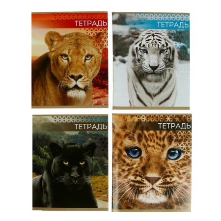 Notebook of 48 sheets in Calligrata "Wild Cats", cover coated paper, block No. 2, mix
