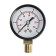 Manometer Zein, radial, body diameter 50 mm, 10 bar, 1/4 "