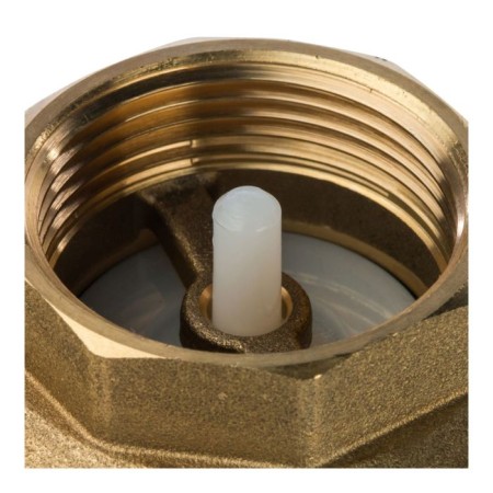 Reverse valve SVC-0002-000032, 1 "1/4, spring, coupling, with a metal saddle-2