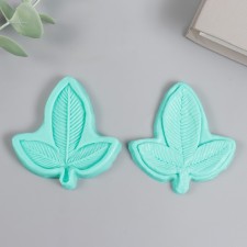 Mold Silicon 