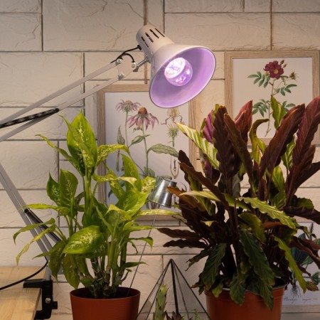 Phytolamps for plants LED era Fito-11W-RA90 27 Full Spectrum New 11 W E27-3