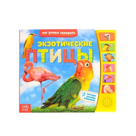 Musical book "Exotic Birds", 12 p.