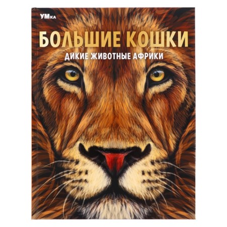 Encyclopedia "Big Cats. Africa wild animals ", 48 pages