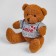 Soft toy "Bear", 20 cm, blouse with the inscription, Mix color