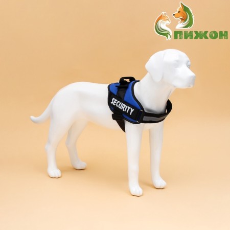 C9 sloping is soft reflective, size xl, og 80-95 cm, weight 30-45 kg, blue