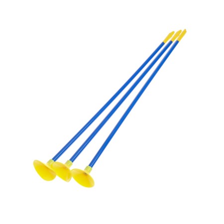 Onions "Sports", with targets and Kolchans, shoots suction cups-4