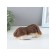 Figure "Dog Sleeps" 18x9x8cm
