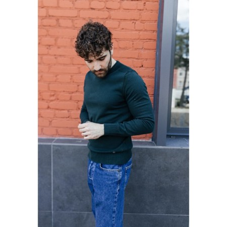 Jumper male ise, size 56, emerald color-11