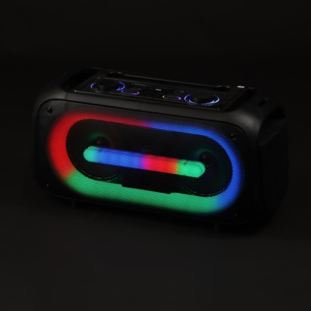 Portable karaoke system Eltronic Dance Box 200, 25 W, BT, SD, AUX, backlight, microphone-9