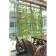 Support for climbing plants, 1.8 × 2.1 m, in the set: a metal frame, a mesh, an angle
