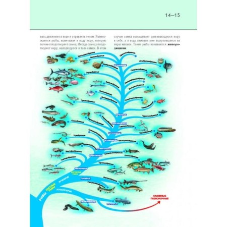 Undersea world. Complete encyclopedia. Schoolboy Yu.K.-15