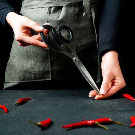 Scissors kitchen shares "Profi", 23 cm, black color-5