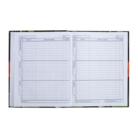 Universal diary for grades 1-11 Modern Science, hard cover, glossy lamination, 40 sheets-7