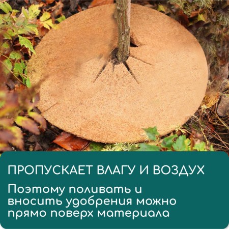 The circle is pro -barrel, d = 0.2 m, from the coconut canvas, Greengo-4