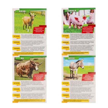 Mini-encyclopedia "World of Animals", 8 pcs. 20 p.-1