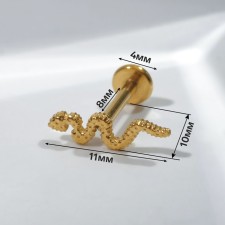 Piercing in the ear (Helix) 