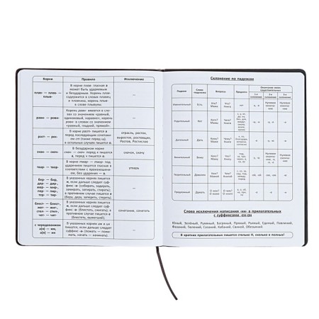 Universal diary for grades 1-11 "Font", firm cover of artificial leather, lies, 48 ​​sheets, black and blue-10