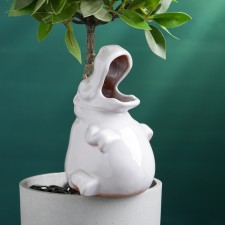 Irrigation for indoor and garden plants 