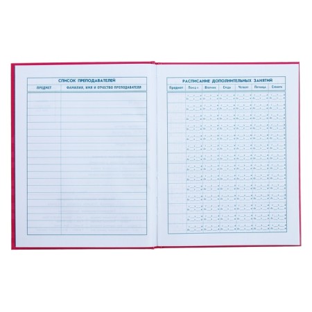 Diary for grades 1-4, 48 sheets "cat", hard cover, glossy lamination, foil embossing-6