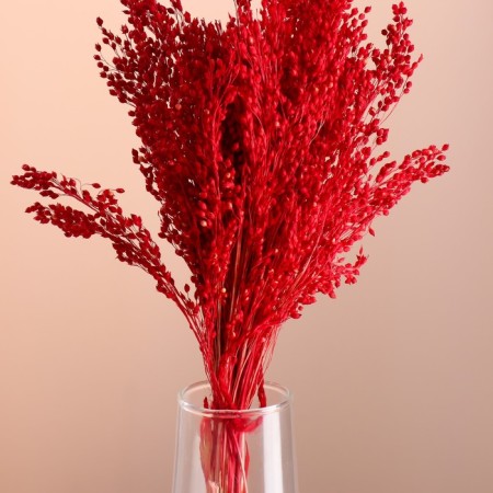 Set of dried flowers "millet", banch length 45 (+/- 6 cm), red-1