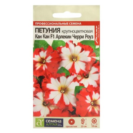 Flowers of Petunia Kan Kan Harlequin, Cherry Rose, this. ALT, c/n, 7 pcs