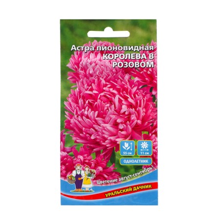 Seeds of flowers Astra Pionovid "Queen in Pink", 0, 2 g