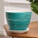 Flower Green Potter Green 2.2 L