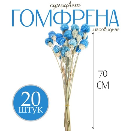 Sukhotzet "Gofreni Sherrovid" set 20 pcs., Blue color-2