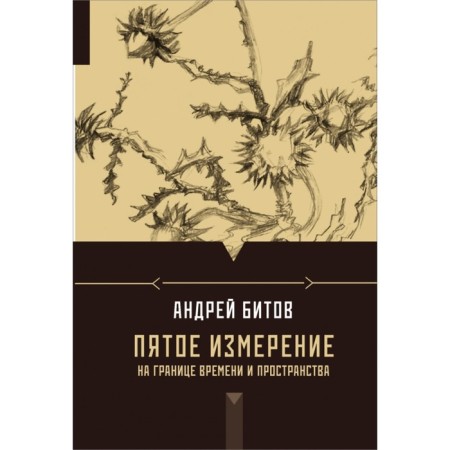 Fifth Dimension. On the border of time and space. Bitov A. G.