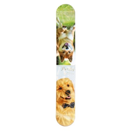 A set of magnetic bookmark for books Calligrata 6 pieces, "dogs", mix-10