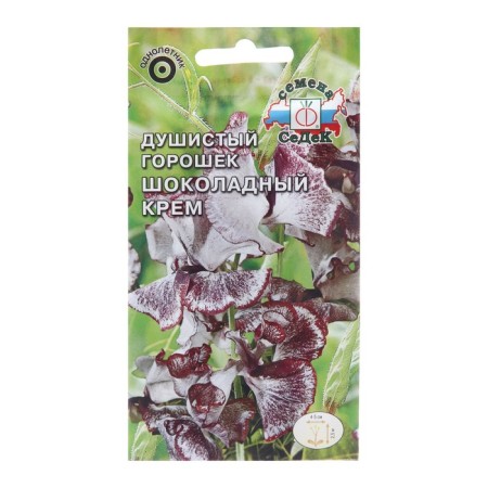 Flower seeds fragrant peas "chocolate cream", 0.5 g