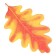 Set for design "Autumn Gold" 15 parts, 50 x 35 cm