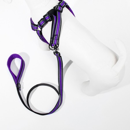 The ammunition set is soft, reflective, leash 120 x 2 cm, Osh 25-72 cm, purple-2