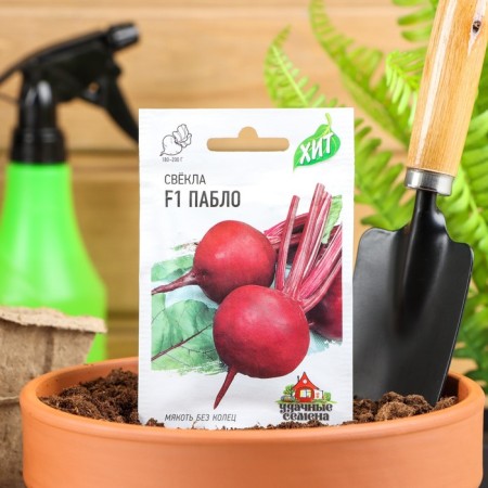 F1 beets "Pablo" F1, 1 g Series Hit X3