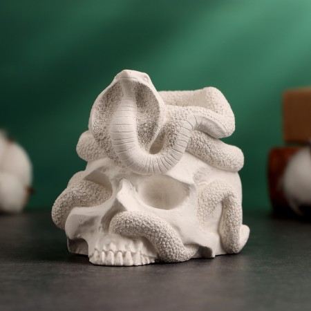 Squint "Snake on the Skull" 9x8x8cm