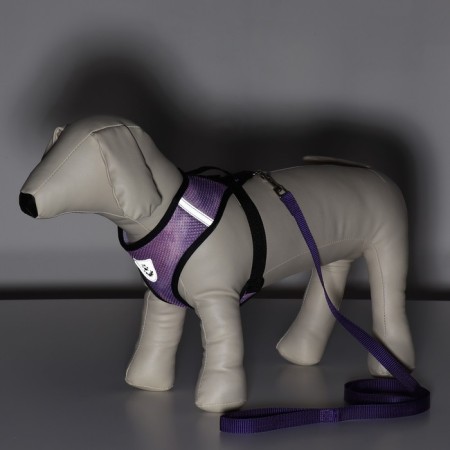 A set for dogs 5-8 kg, size m, leash 120 x 1.5 cm, osh 30 cm, og 39 cm-10