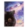School diary for grade 1-11, "black cat", solid cover, lamination "soft-tach" Velvet, an offset block 65g/m2, universal cheat sheet, 48 sheets