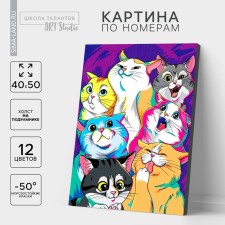 Picture on numbers on canvas with a subframe 