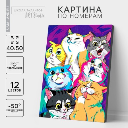Picture on numbers on canvas with a subframe "Bright cats", 40 x 50 cm